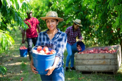 Latino woman with a peach bucket, which is naturally Halal.