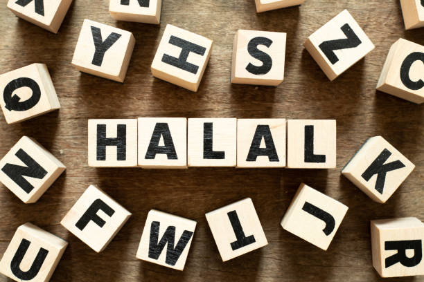 Scribble game says 'Halal'