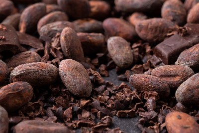 Halal cocoa harvesting.