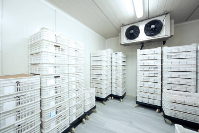 Compartmentalizing different food items to save from cross contamination.