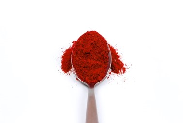 A spoonfull of Halal certified chilli powder.