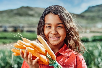 Girl picking fresh carrots.