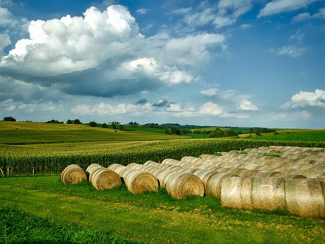 Cedar Rapids Iowa farmlands