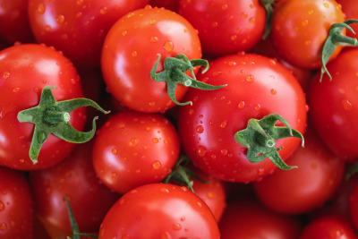 The Great Tomato Debate: Fruit or Vegetable?