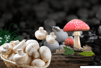 Halal Mushrooms.