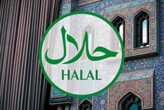 Halal festivals across the world.