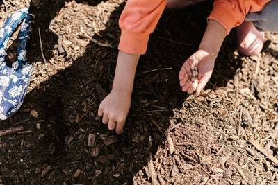 Soil is the mother of agriculture.