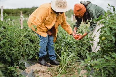 Role of community for growing Halal food.