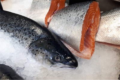 Fresh Atlantic Salmon - naturally Halal food.