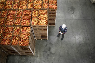 Top view of worker standing by apple crates.