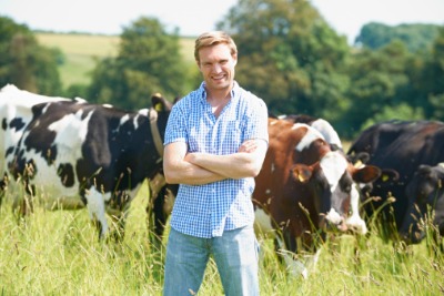 Creating Happy Cows with Agroforestry