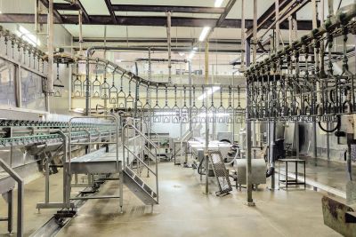 Poultry processing plant.